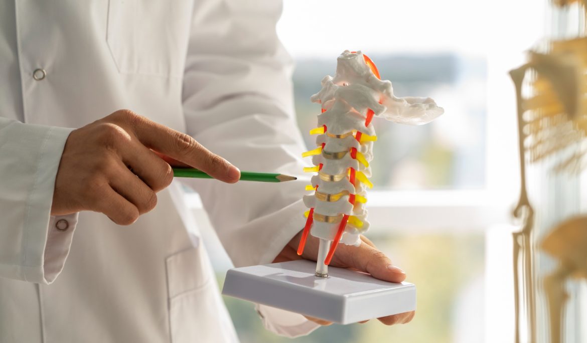 Spine Surgery Services