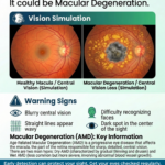 Macular degeneration vision simulation showing healthy retina vs central vision loss with symptoms and warning signs.